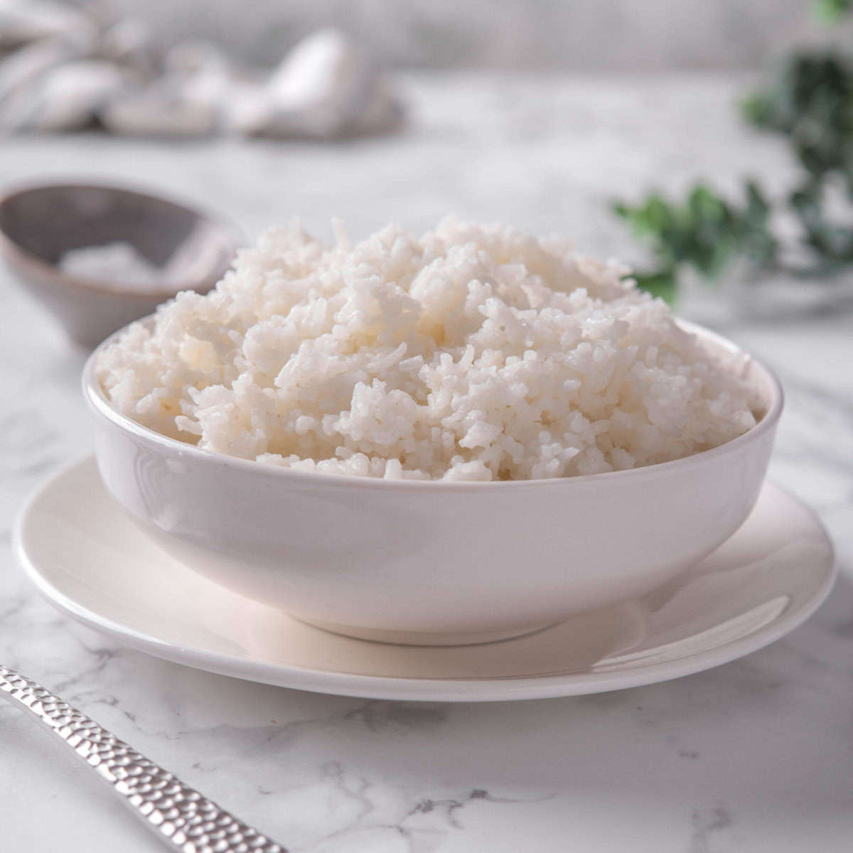 Steamed or Garlic Rice